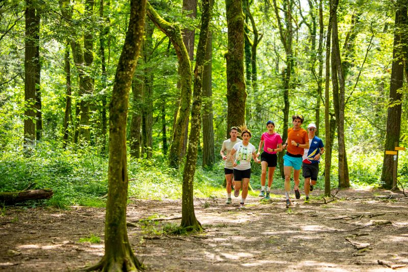 People running on a health trail